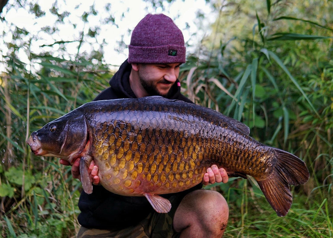 Joe Montalbano- Owner of Leads4less