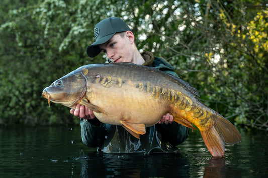 Louie Walker - Videographer + Photographer