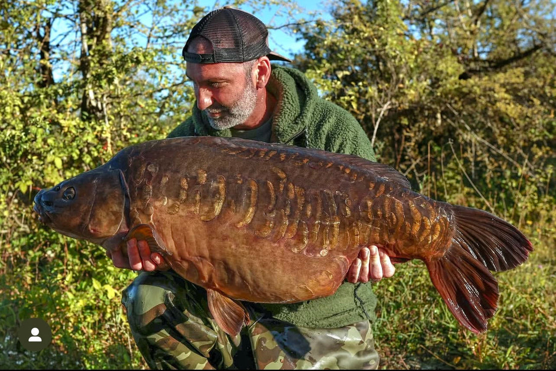 Blue lagoons “Apples ” Andy palmer (promo team)