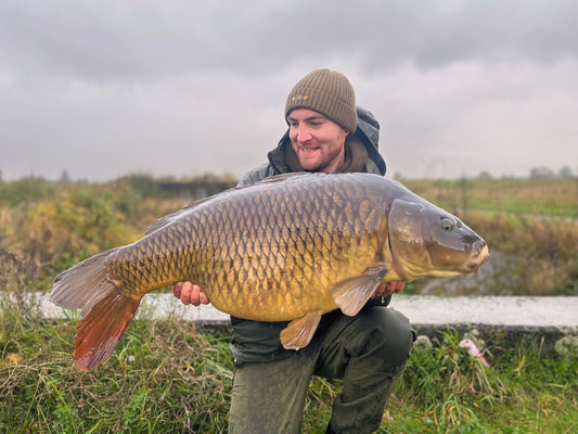 Zak Latchford - European Gold