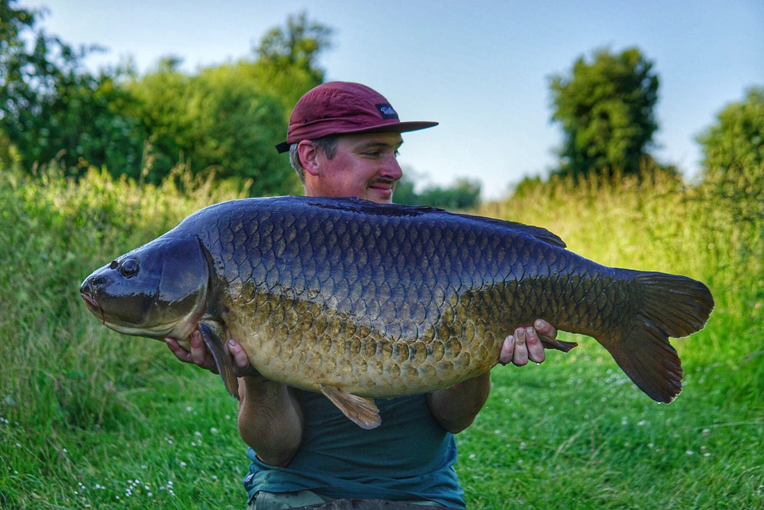 BC buzz🐝 - European success for Ben hewish