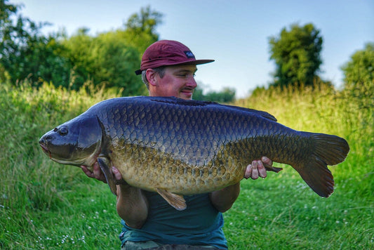 BC buzz🐝 - European success for Ben hewish