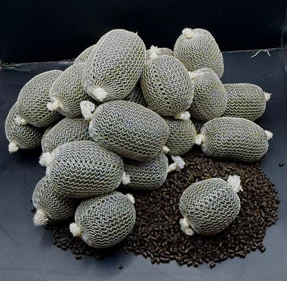 20x Pre-tied PVA  mesh bags - mixed pellet (high oil, course)