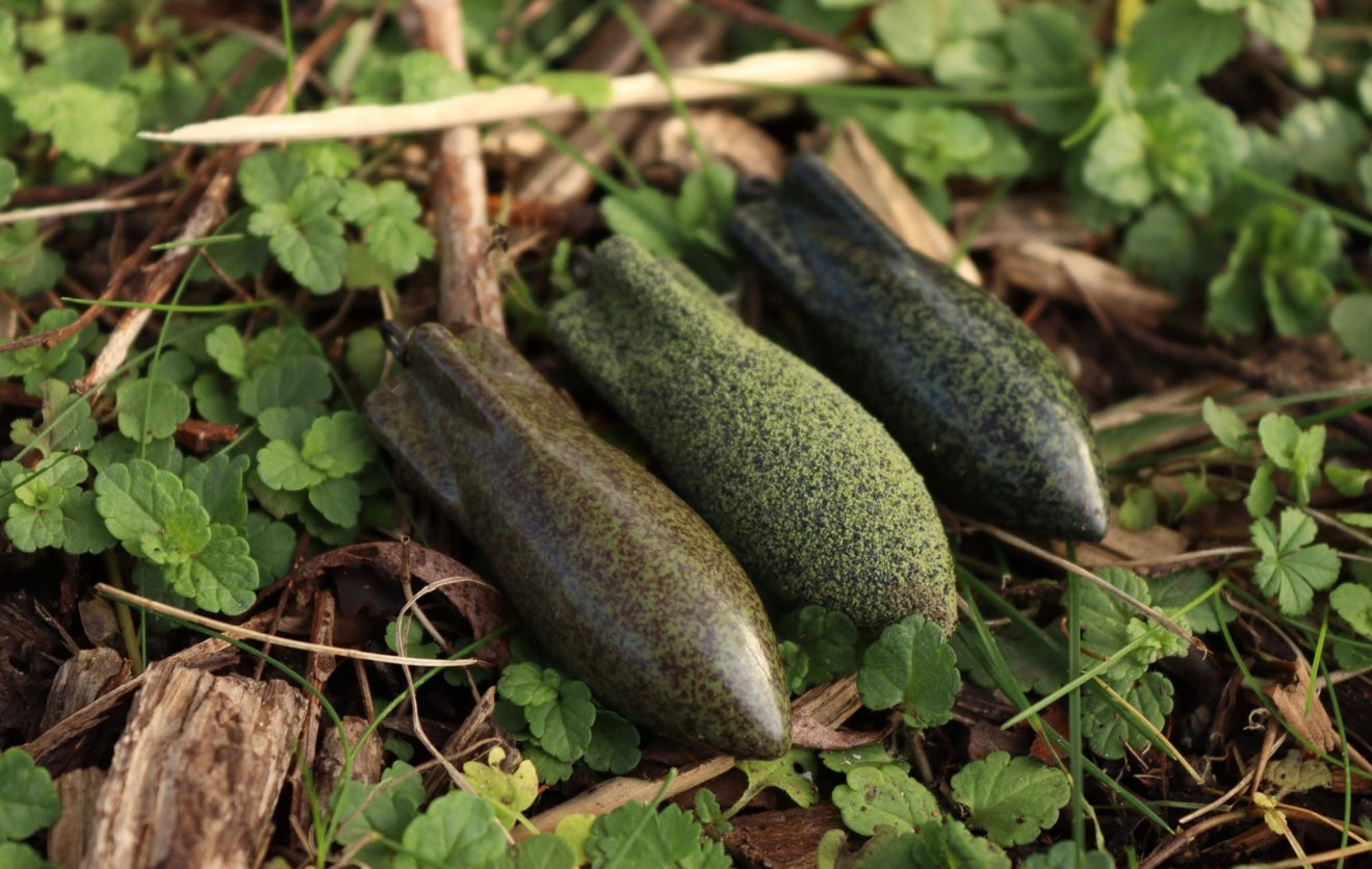 Dart Distance 4oz Lead