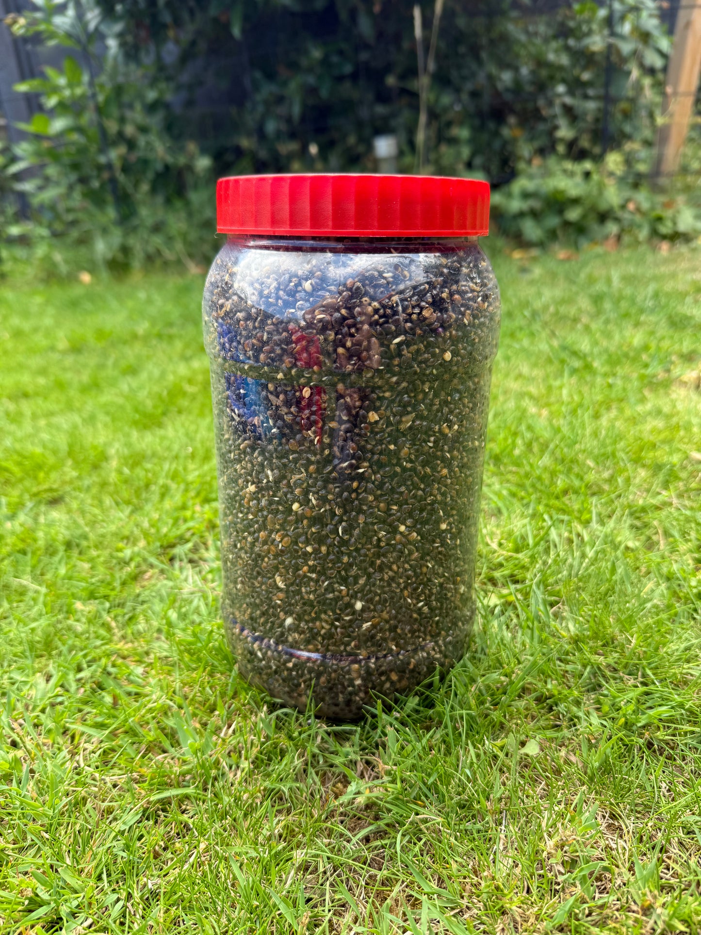 Shelf life particle -  hemp (2L)